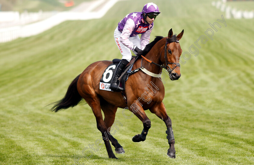 The-Cull-Bank-0001 
 THE CULL BANK (Wayne Hutchinson)
Cheltenham 18 Apr 2019 - Pic Steven Cargill / Racingfotos.com