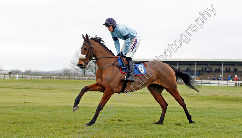 Danse-Idol-0002 
 DANSE IDOL (Lorcan Williams)
Wincanton 30 Jan 2020 - Pic Steven Cargill / Racingfotos.com