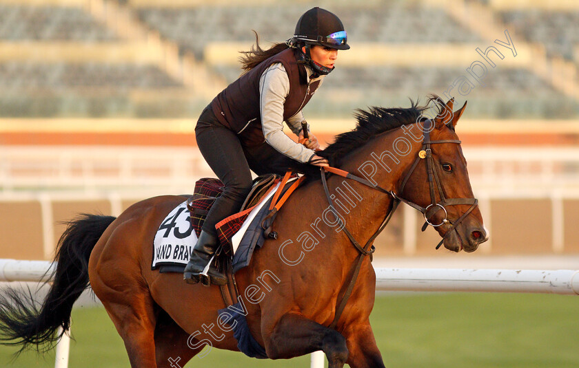 Island-Brave-0005 
 ISLAND BRAVE exercising for trainer Heather Main 
Meydan, Dubai, 3 Feb 2022 - Pic Steven Cargill / Racingfotos.com