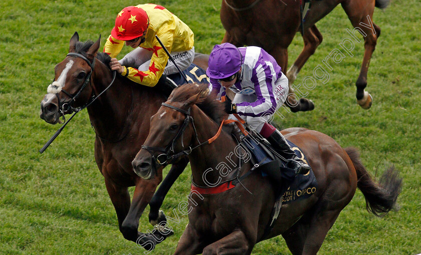 Perotto-0005 
 PEROTTO (Oisin Murphy) beats LIFFEY RIVER (left) in The Britannia Stakes
Royal Ascot 17 Jun 2021 - Pic Steven Cargill / Racingfotos.com