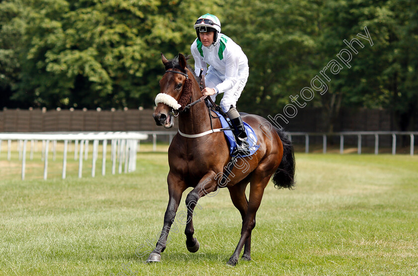 Ahlan-Bil-Emarati-0001 
 AHLAN BIL EMARATI (Tom Queally)
Pontefract 10 Jul 2018 - Pic Steven Cargill / Racingfotos.com