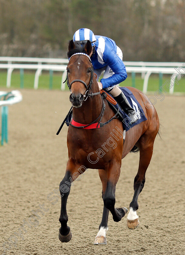 Mohtarrif-0001 
 MOHTARRIF (Martin Dwyer) winner of The Ladbrokes Home Of The Odds Boost Novice Stakes
Lingfield 23 Mar 2019 - Pic Steven Cargill / Racingfotos.com