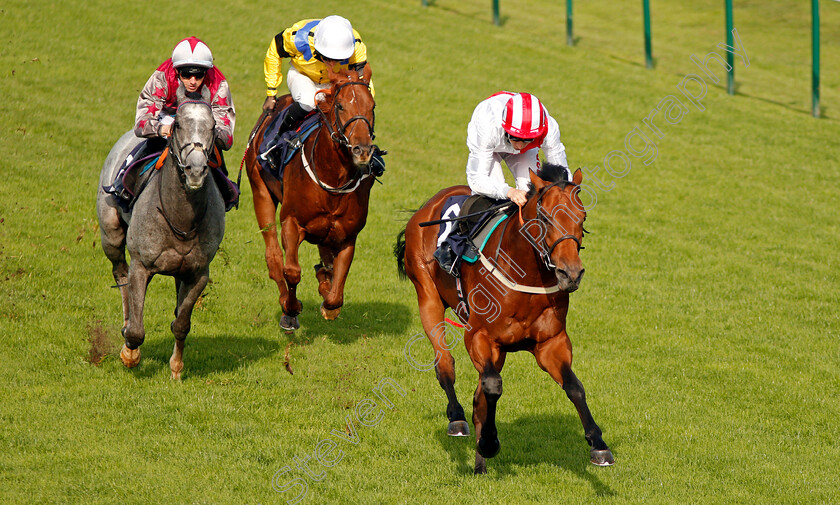 Foreseeable-Future-0006 
 FORSEEABLE FUTURE (Luke Morris) beats ELITE SHADOW (left) and PRANCEABOOTTHETOON (yellow) in The British EBF Novice Stakes Yarmouth 16 Oct 2017 - Pic Steven Cargill / Racingfotos.com