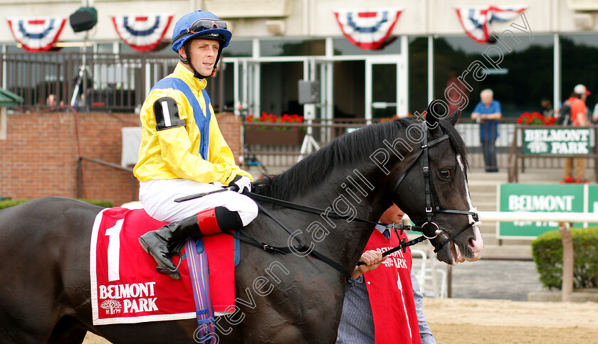 Mootasadir-0003 
 MOOTASADIR (Ben Curtis)
Belmont Park 7 Jun 2019 - Pic Steven Cargill / Racingfotos.com