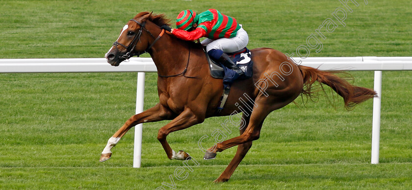 Assail-0003 
 ASSAIL (Silvestre De Sousa) wins The Slingsby Gin Handicap
Ascot 26 Jul 2024 - Pic Steven Cargill / Racingfotos.com