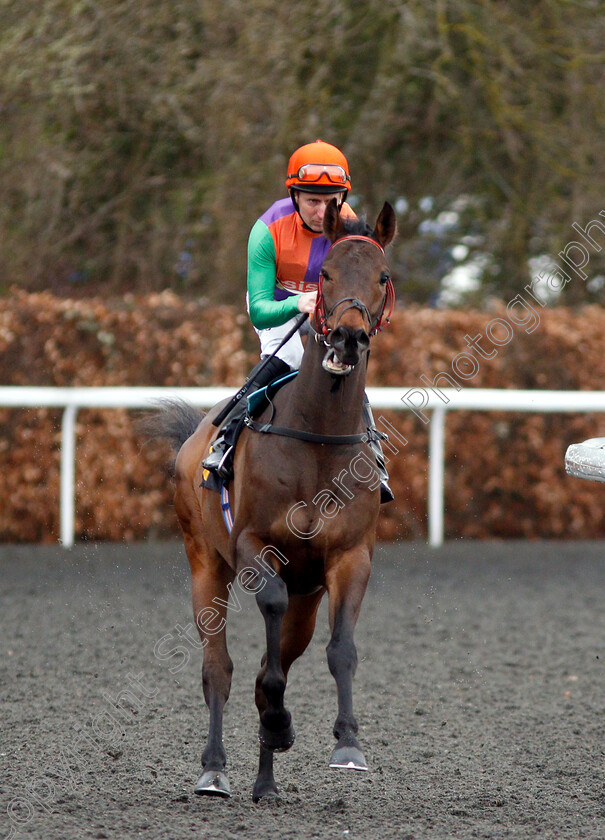 Ghayadh-0001 
 GHAYADH (Martin Dwyer) 
Kempton 6 Mar 2019 - Pic Steven Cargill / Racingfotos.com