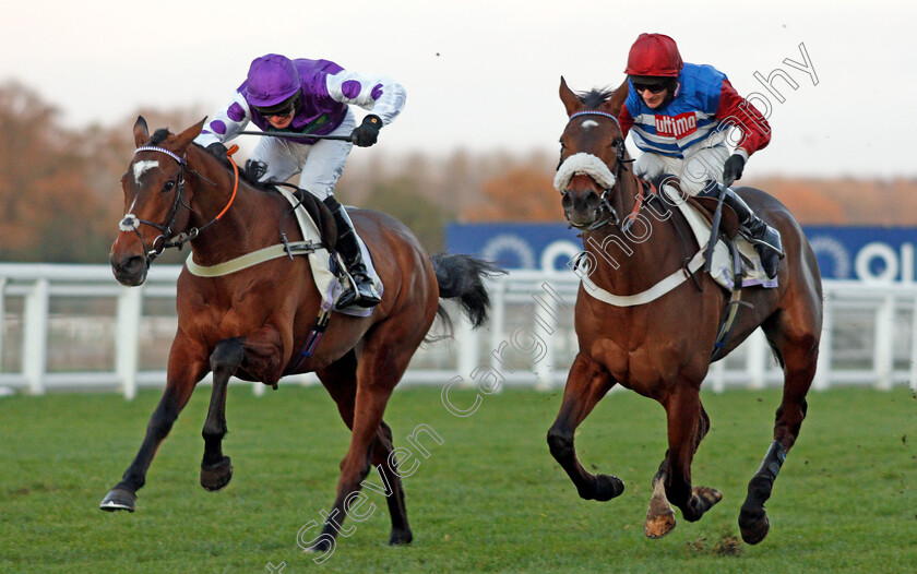 Nestor-Park-0003 
 NESTOR PARK (David Bass) beats PORTRUSH TED (right) in The Elite AV Standard Open National Hunt Flat Race Ascot 25 Nov 2017 - Pic Steven Cargill / Racingfotos.com