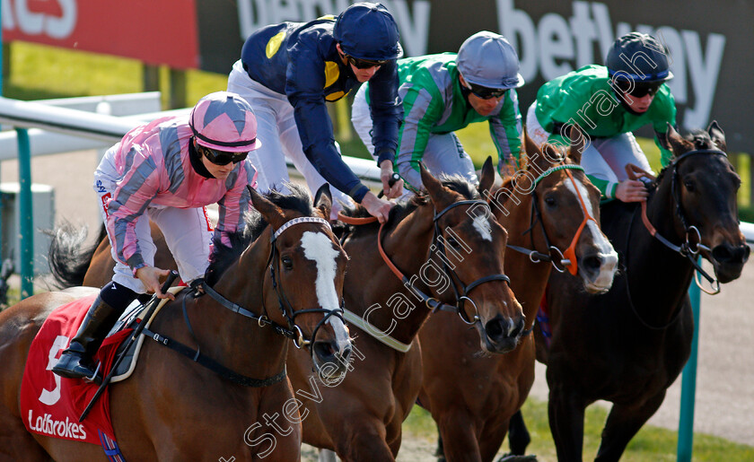 Pholas-0004 
 PHOLAS (Hollie Doyle) wins The Ladbrokes All-Weather Fillies and Mares Championships Conditions Stakes
Lingfield 2 Apr 2021 - Pic Steven Cargill / Racingfotos.com