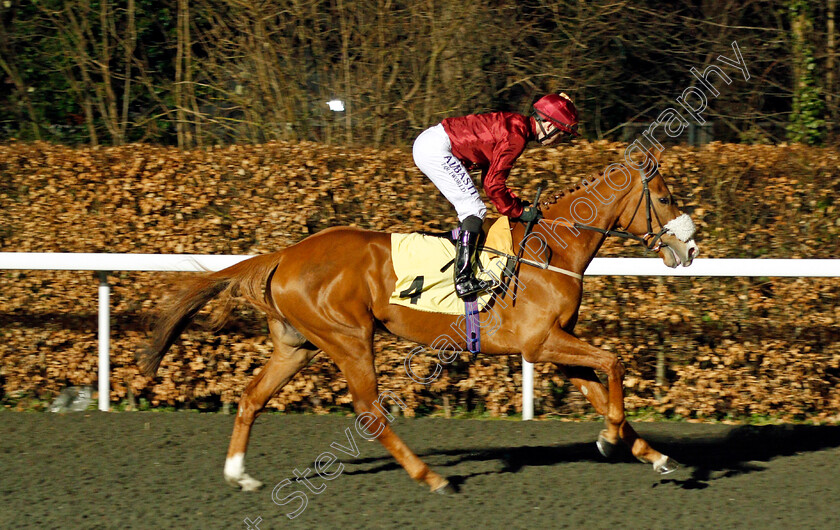 Fortune s-Pearl-0001 
 FORTUNE'S PEARL (Oisin Murphy) Kempton 7 Mar 2018 - Pic Steven Cargill / Racingfotos.com