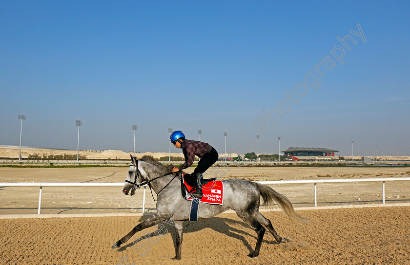 Yamanin-Sympa-0003 
 YAMANIN SYMPA training for the Bahrain International Trophy
Kingdom of Bahrain 14 Nov 2024 - Pic Steven Cargill / Racingfotos.com