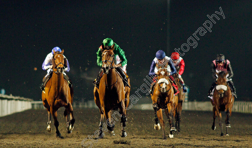 Candleford-0007 
 CANDLEFORD (Tom Marquand) wins The Unibet 3 Uniboosts A Day Handicap
Kempton 10 Nov 2021 - Pic Steven Cargill / Racingfotos.com