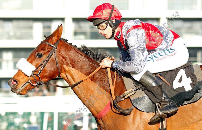 Fanion-D Estruval-0008 
 FANION D'ESTRUVAL (Charlie Deutsch) wins The Ladbrokes Novices Handicap Chase
Newbury 29 Nov 2019 - Pic Steven Cargill / Racingfotos.com