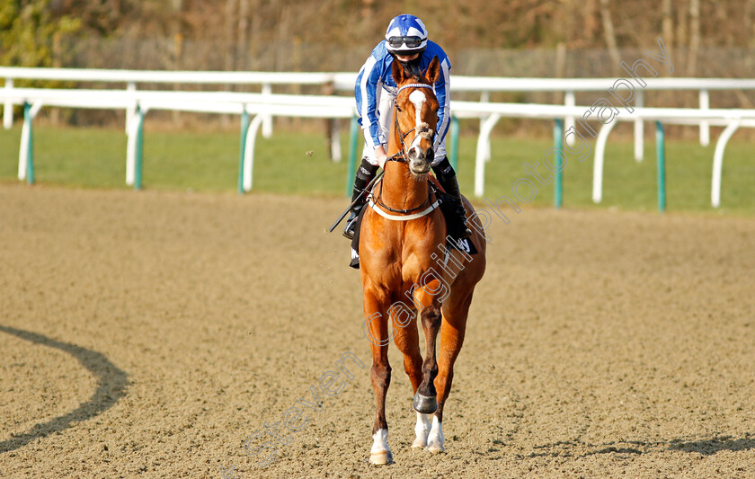 Johnny-Drama-0001 
 JOHNNY DRAMA (Ryan Moore)
Lingfield 27 Feb 2021 - Pic Steven Cargill / Racingfotos.com