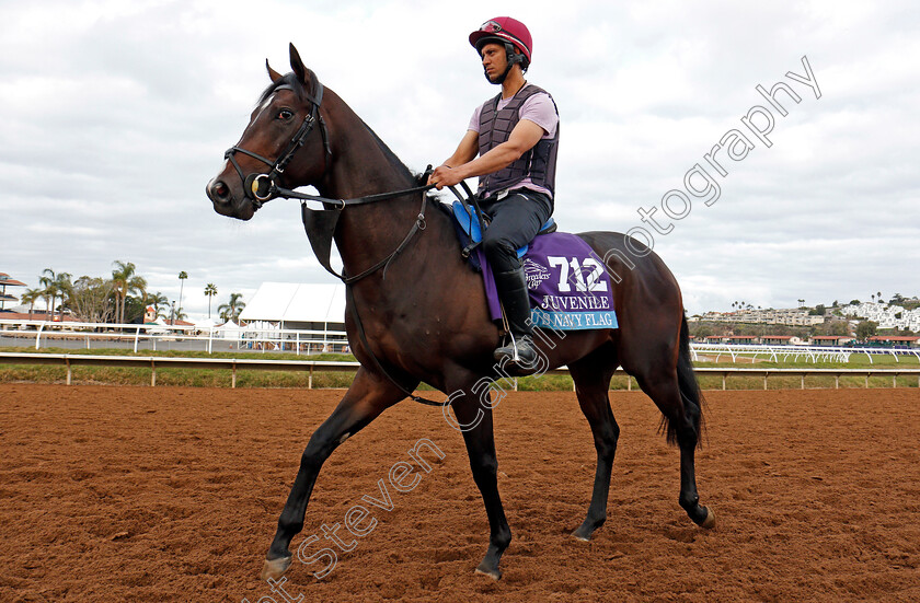 U-S-Navy-Flag-0001 
 U S NAVY FLAG training for The Breeders' Cup Juvenile at Del Mar 2 Nov 2017 - Pic Steven Cargill / Racingfotos.com