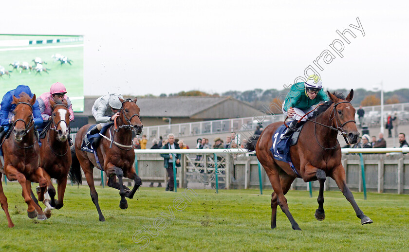 Trefoil-0003 
 TREFOIL (Richard Kingscote) wins The Matchbook EBF Future Stayers Novice Stakes
Newmarket 23 Oct 2019 - Pic Steven Cargill / Racingfotos.com