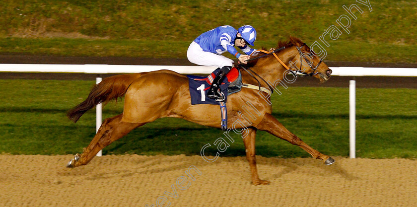 Bollihope-0005 
 BOLLIHOPE (Robert Havlin) wins The Betway Casino Handicap
Wolverhampton 7 Jan 2019 - Pic Steven Cargill / Racingfotos.com