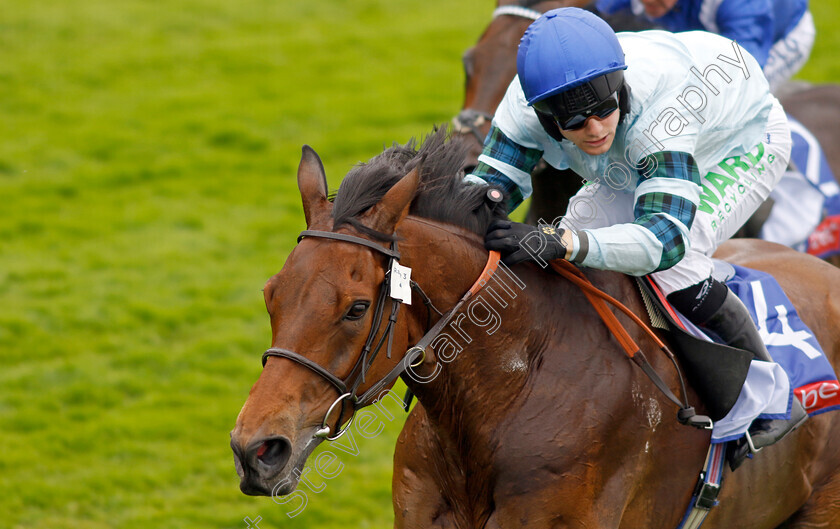 Quickthorn-0001 
 QUICKTHORN (Jason Hart) wins The Sky Bet Grand Cup
York 17 Jun 2023 - Pic Steven Cargill / Racingfotos.com