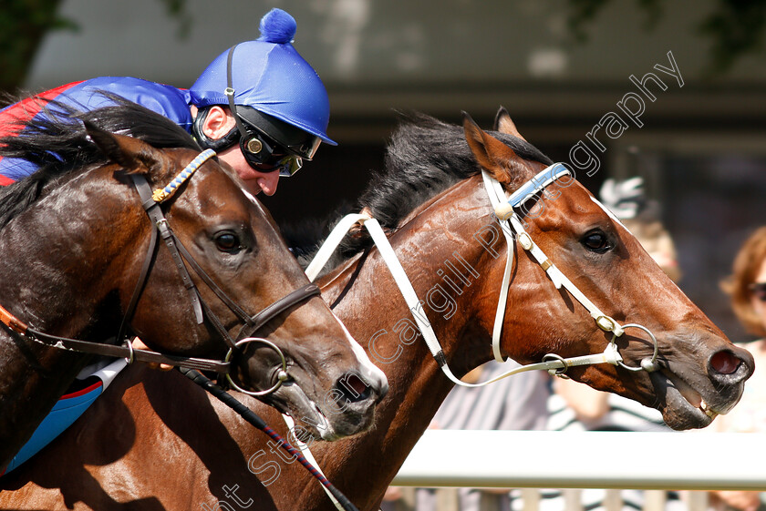 Naval-Intelligence-0006 
 NAVAL INTELLIGENCE (John Egan) wins The Download The App At 188bet Maiden Stakes Div2
Newmarket 28 Jun 2018 - Pic Steven Cargill / Racingfotos.com