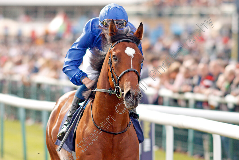 Royal-Crusade-0003 
 ROYAL CRUSADE (William Buick)
Doncaster 14 Sep 2019 - Pic Steven Cargill / Racingfotos.com