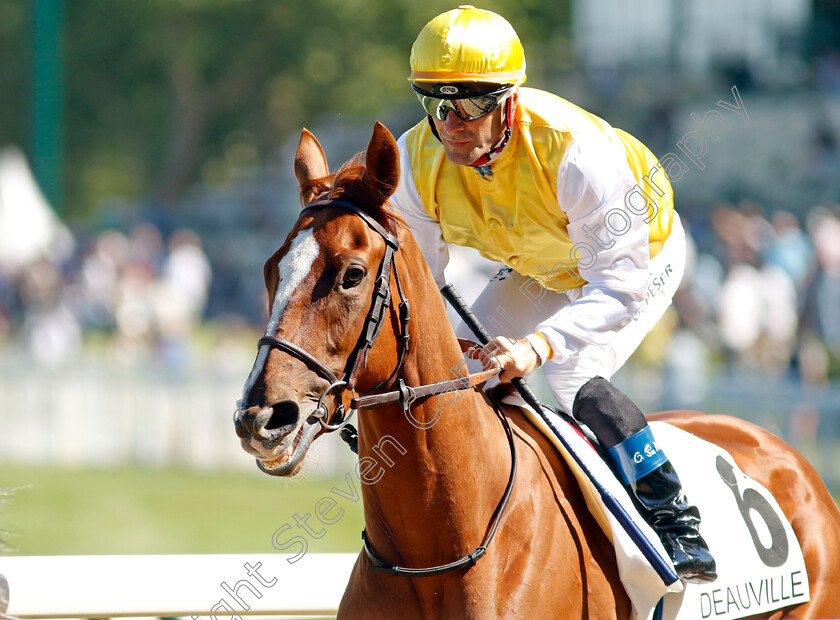 Greygoria-0001 
 GREYGORIA (Olivier Peslier)
Deauville 6 Aug 2022 - Pic Steven Cargill / Racingfotos.com