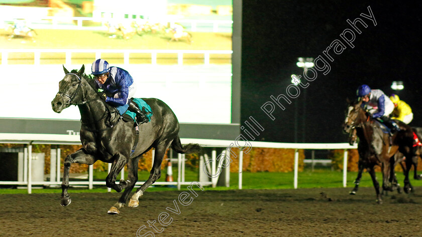 Mostabshir-0003 
 MOSTABSHIR (Jim Crowley) wins The Unibet British Stallion Studs EBF Novice Stakes Div2
Kempton 16 Nov 2022 - Pic Steven Cargill / Racingfotos.com