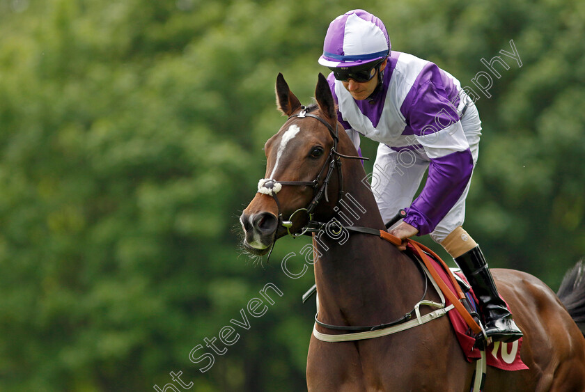 Tippy-Toes-0002 
 TIPPY TOES (Joe Fanning)
Haydock 21 May 2022 - Pic Steven Cargill / Racingfotos.com