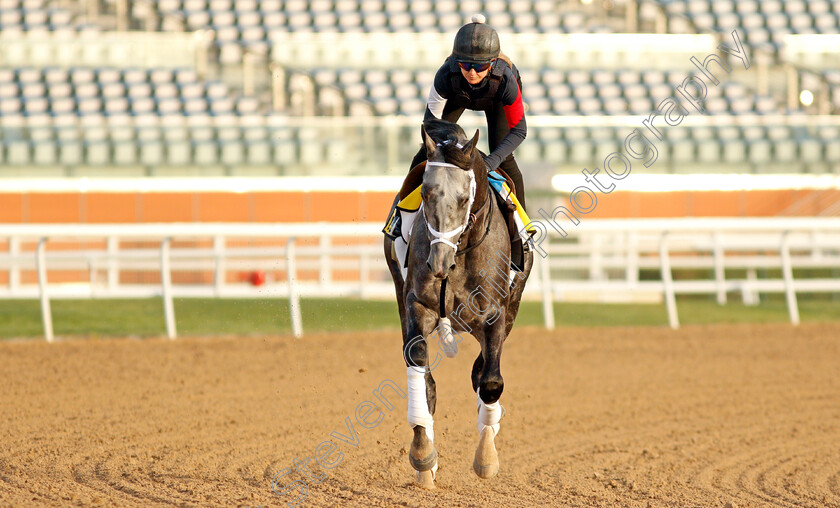 Colonel-Liam-0006 
 COLONEL LIAM training for the Dubai Turf
Meydan, Dubai, 23 Mar 2022 - Pic Steven Cargill / Racingfotos.com