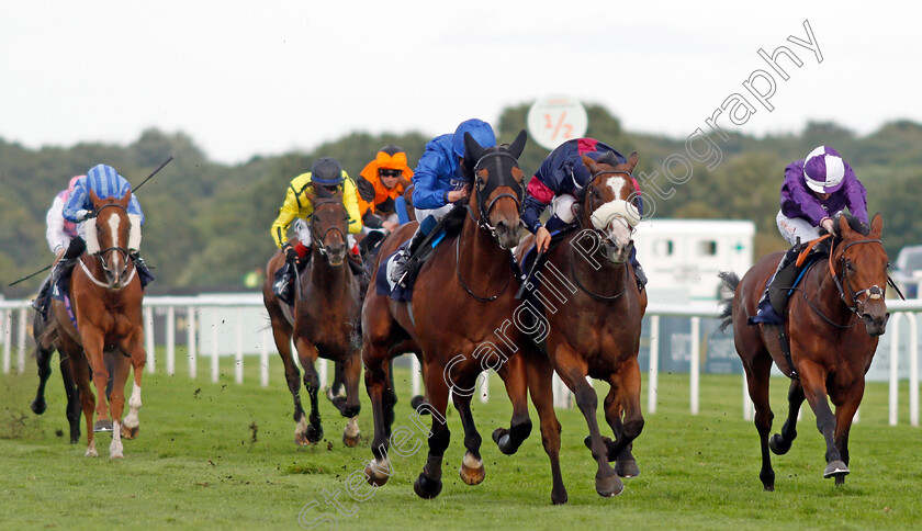 Royal-Fleet-0001 
 ROYAL FLEET (centre, William Buick) beats SCOTTISH SUMMIT (2nd right) and RAADOBARG (right) in The Vermantia Handicap
Doncaster 11 Sep 2021 - Pic Steven Cargill / Racingfotos.com