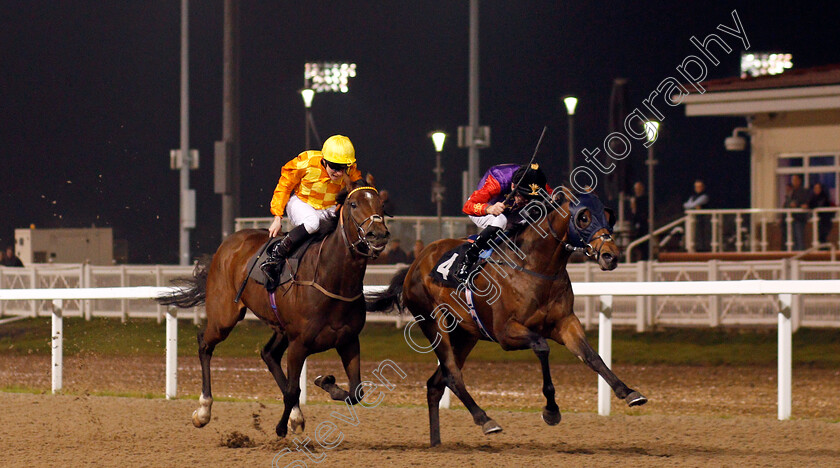 Pianissimo-0001 
 PIANISSIMO (Robert Havlin) beats CASUAL REPLY (left) in The Buy Tickets Online At chelmsfordcityracecourse.com Novice Stakes
Chelmsford 24 Oct 2019 - Pic Steven Cargill / Racingfotos.com