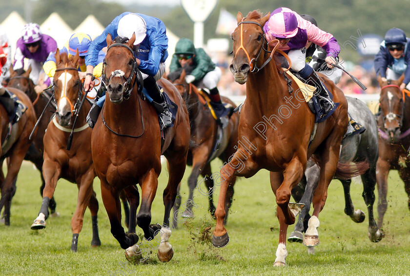 Bacchus-0004 
 BACCHUS (right, Jim Crowley) beats DREAMFIELD (left) in The Wokingham Stakes
Royal Ascot 23 Jun 2018 - Pic Steven Cargill / Racingfotos.com