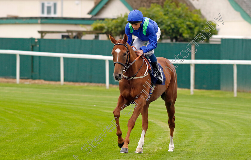 Rosenzoo-0001 
 ROSENZOO (William Buick)
Yarmouth 19 Sep 2023 - Pic Steven Cargill / Racingfotos.com