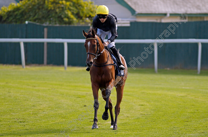 Gonna-Fly-Now-0001 
 GONNA FLY NOW (Kieran Shoemark)
Yarmouth 18 Sep 2024 - Pic Steven Cargill / Racingfotos.com