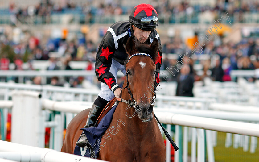 Demons-Rock-0001 
 DEMONS ROCK (Richard Kingscote) York 13 Sep 2017 - Pic Steven Cargill / Racingfotos.com