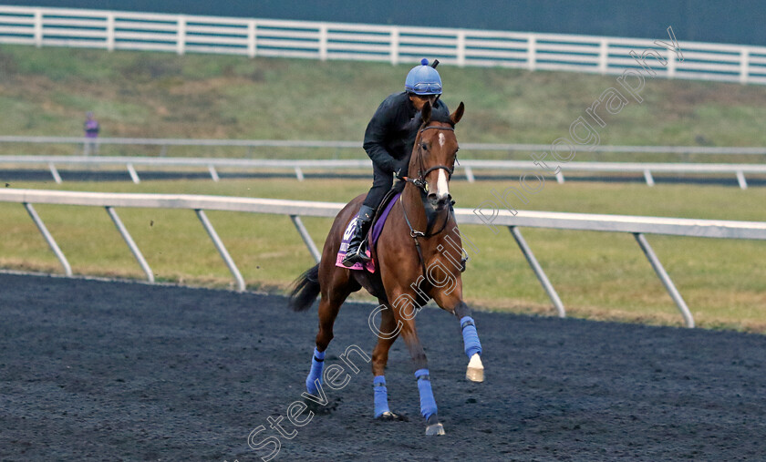 Spirit-Gal-0001 
 SPIRIT GAL training for the Breeders' Cup Juvenile Fillies Turf
Keeneland USA 2 Nov 2022 - Pic Steven Cargill / Racingfotos.com