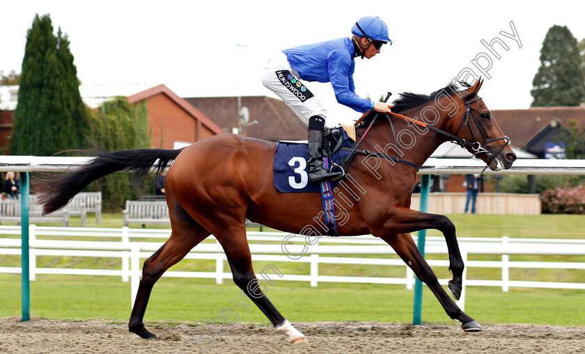 Jalaad-0002 
 JALAAD (Jason Watson)
Lingfield 4 Oct 2018 - Pic Steven Cargill / Racingfotos.com