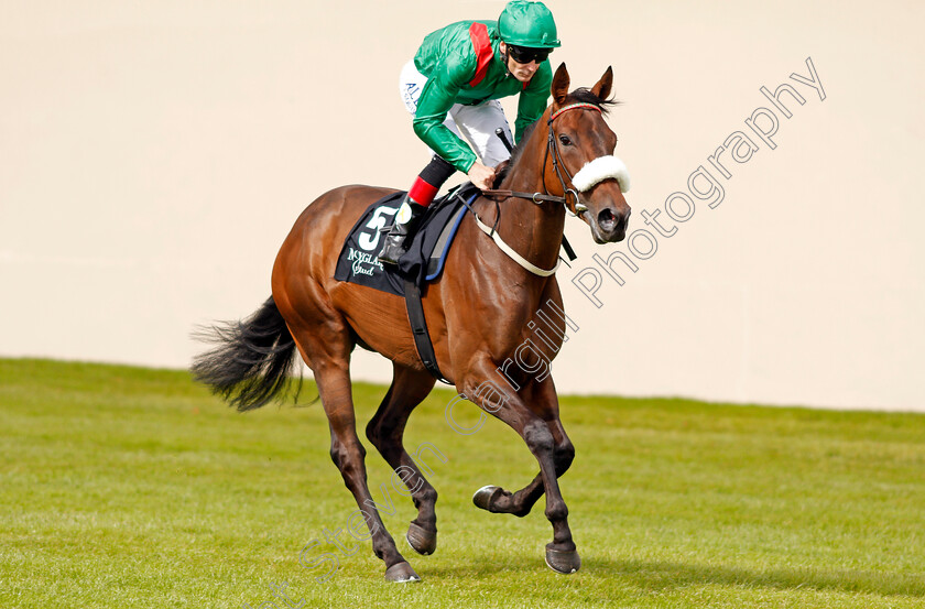 Shamreen-0001 
 SHAMREEN (Pat Smullen) winner of The Moyglare Jewels Blandford Stakes Curragh 10 Sep 2017 - Pic Steven Cargill / Racingfotos.com