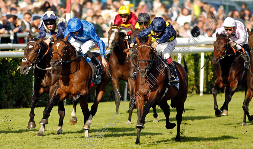 Yabher-0002 
 YABHER (right, Cieren Fallon) beats MASUBI (2nd left) in The British Stallion Studs EBF Maiden Stakes
Doncaster 14 Sep 2024 - Pic Steven Cargill / Racingfotos.com