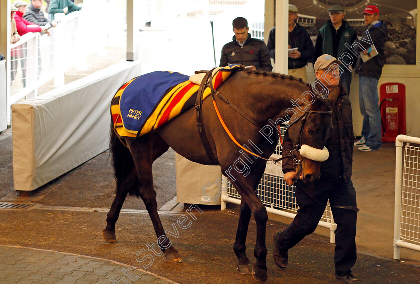 Lot-0160-Presenting-Beara-£8000-0001 
 Lot 160 PRESENTING BEARA selling for £8000 at Tattersalls Ireland Ascot November Sale 9 Nov 2017 - Pic Steven Cargill / Racinfotos.com