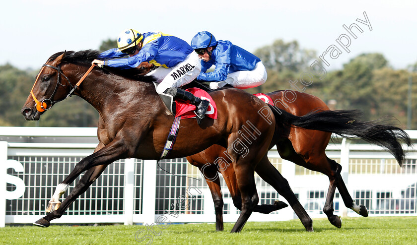 Walkinthesand-0004 
 WALKINTHESAND (Tom Marquand) wins The Smarkets Conditions Stakes
Sandown 19 Sep 2018 - Pic Steven Cargill / Racingfotos.com