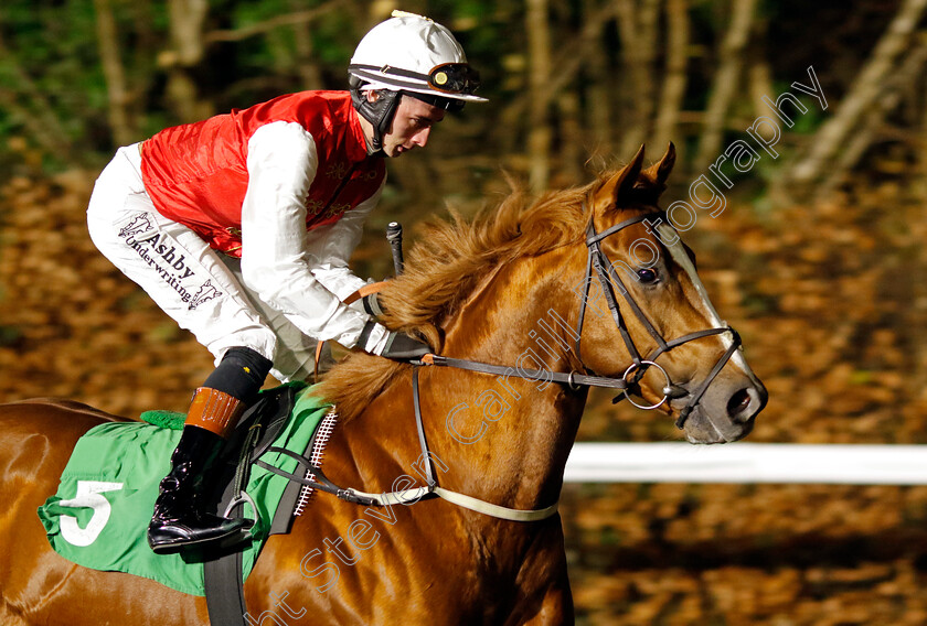 Jarham-0001 
 JARHAM (Rossa Ryan)
Kempton 11 Dec 2024 - Pic Steven Cargill / Racingfotos.com