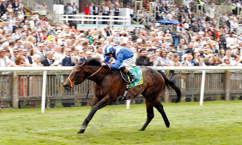 Motakhayyel-0002 
 MOTAKHAYYEL (Chris Hayes) wins The bet365 Mile Handicap
Newmarket 13 Jul 2019 - Pic Steven Cargill / Racingfotos.com