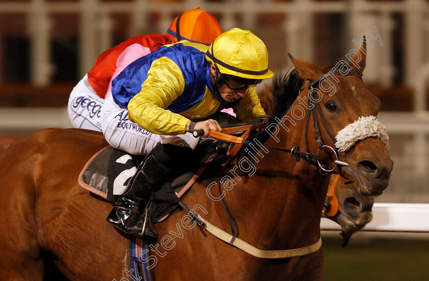 Cashel-0003 
 CASHEL (Tom Marquand) wins The chelmsfordcityracecourse.com Handicap Div2
Chelmsford 15 Oct 2020 - Pic Steven Cargill / Racingfotos.com