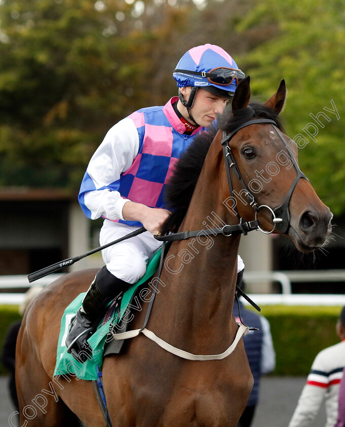 Autumn s-Breeze-0001 
 AUTUMN'S BREEZE (Rhys Clutterbuck)
Kempton 12 Jun 2024 - Pic Steven Cargill / Racingfotos.com