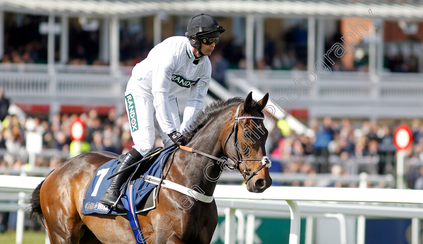 Constitution-Hill-0016 
 CONSTITUTION HILL (Nico de Boinville) winner of The William Hill Aintree Hurdle
Aintree 13 Apr 2023 - Pic Steven Cargill / Racingfotos.com