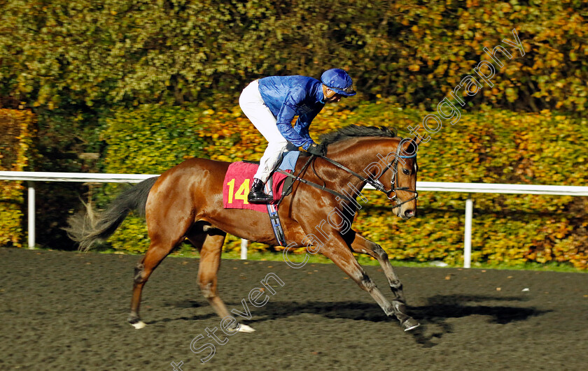 Uncle-Matthew-0001 
 UNCLE MATTHEW (James Doyle)
Kempton 16 Nov 2022 - Pic Steven Cargill / Racingfotos.com