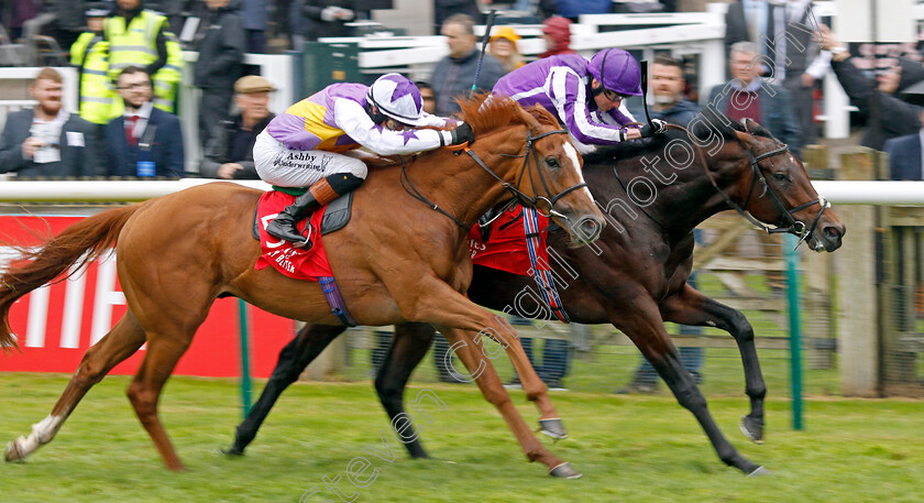 Delacroix-0003 
 DELACROIX (right, Ryan Moore) beats STANHOPE GARDENS (left) in the Emirates Autumn Stakes
Newmarket 12 Oct 2024 - Pic Steven Cargill / Racingfotos.com