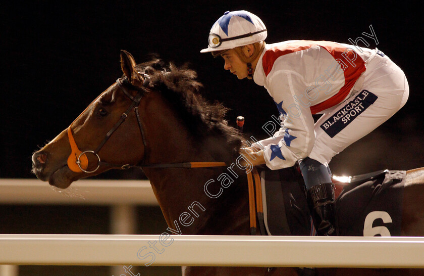 Lord-P-0001 
 LORD P (Thore Hammer Hansen)
Chelmsford 25 Nov 2019 - Pic Steven Cargill / Racingfotos.com