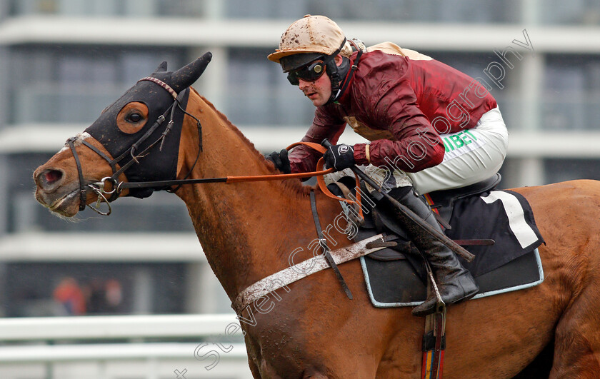 Whatswrongwithyou-0007 
 WHATSWRONGWITHYOU (Nico de Boinville) wins The Read Paul Nicholls Exclusively At Betfair Novices Hurdle Newbury 10 Feb 2018 - Pic Steven Cargill / Racingfotos.com