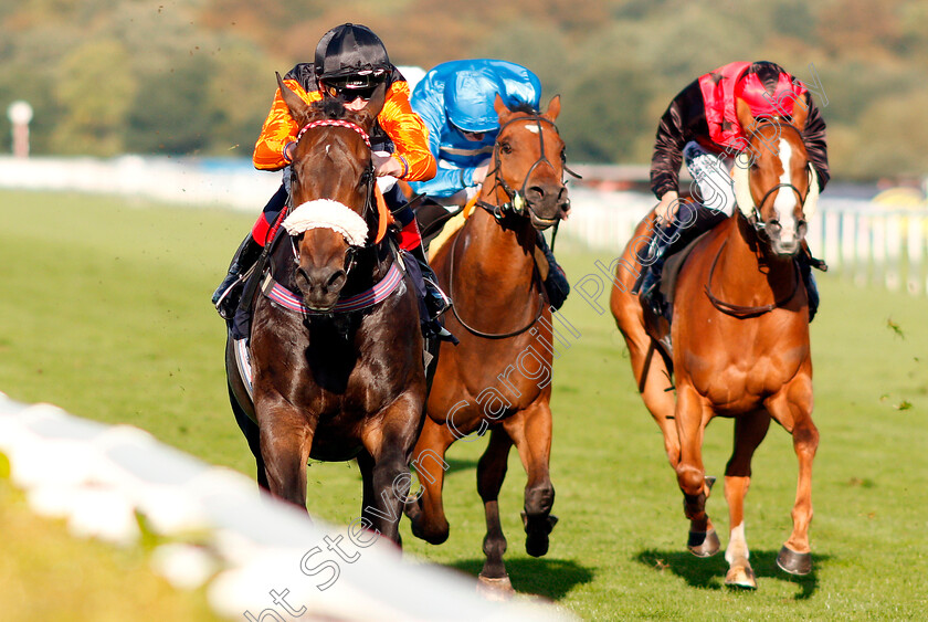 Saaheq-0002 
 SAAHEQ (David Egan) wins The 1stsecuritysolutions.co.uk Handicap
Doncaster 12 Sep 2018 - Pic Steven Cargill / Racingfotos.com