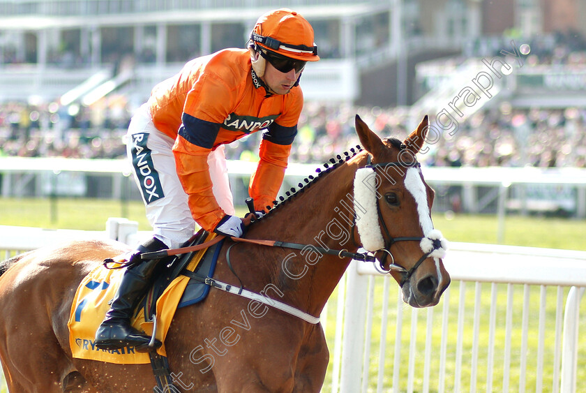 Sam-Spinner-0001 
 SAM SPINNER (Joe Colliver)
Aintree 6 Apr 2019 - Pic Steven Cargill / Racingfotos.com